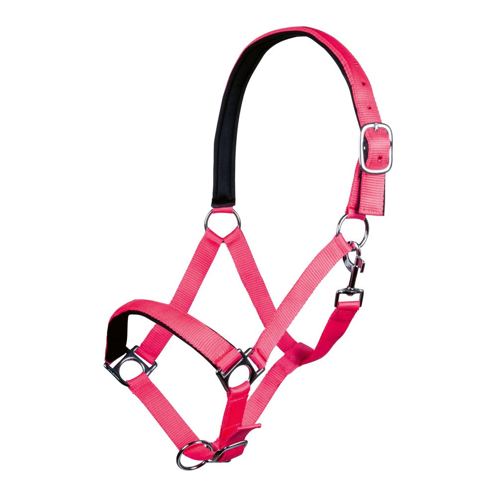 Licol Stars Softice , doublure douce HKM poney Rose néon