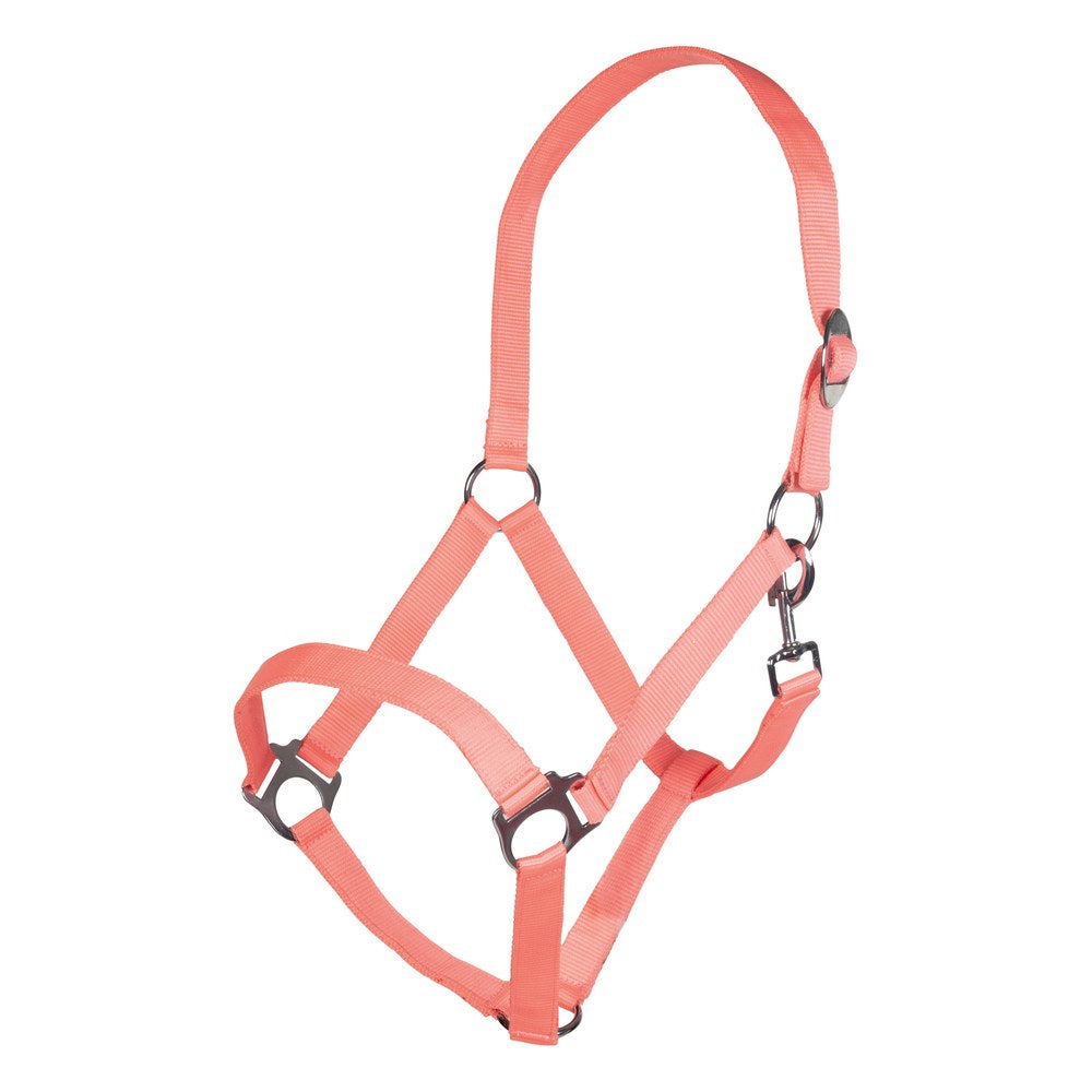 Licol Stars Economy Softice HKM poney Néon corail