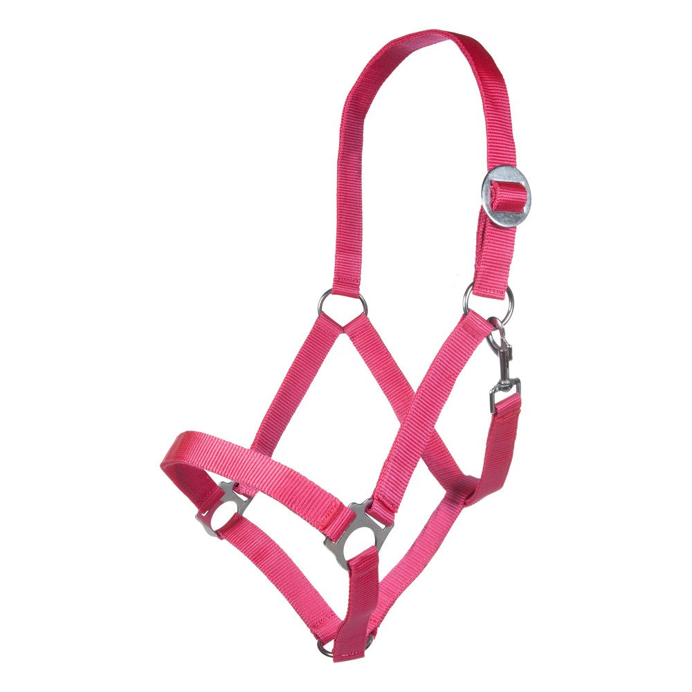 Licol Stars Economy Softice HKM poney Rose