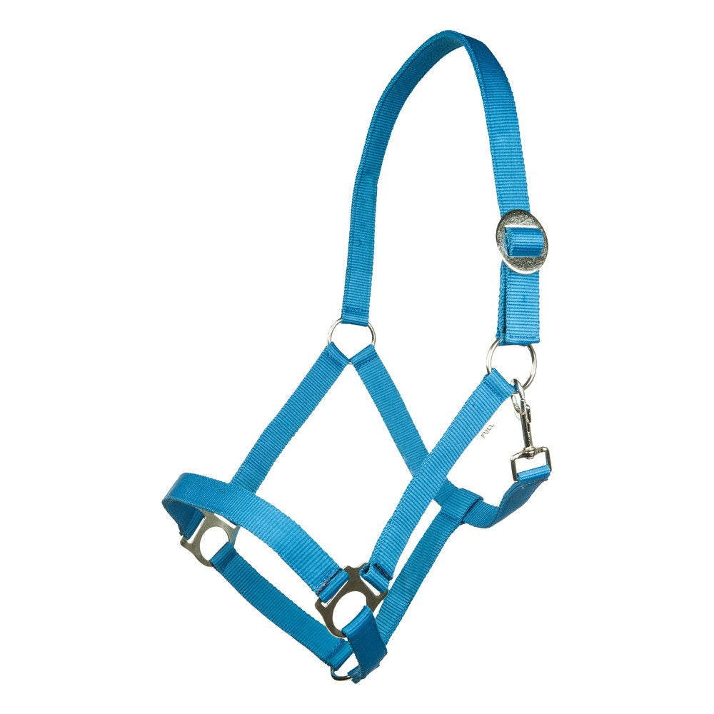Licol Stars Economy Softice HKM poney Bleu roi
