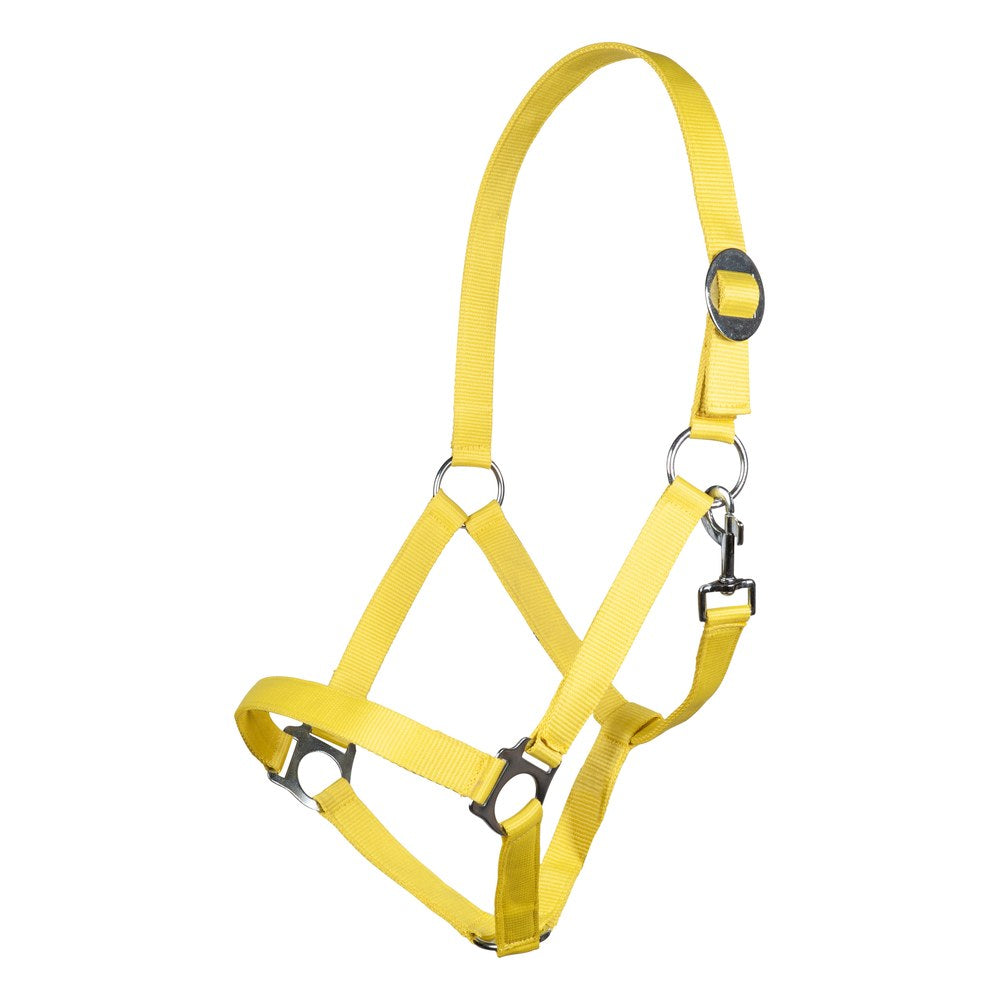 Licol Stars Economy Softice HKM poney Jaune fluo