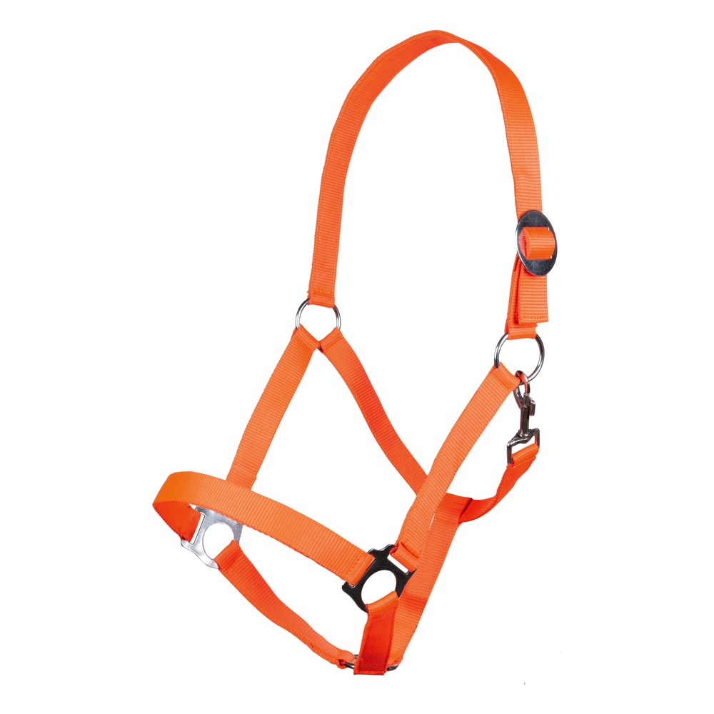 Licol Stars Economy Softice HKM poney Orange fluo