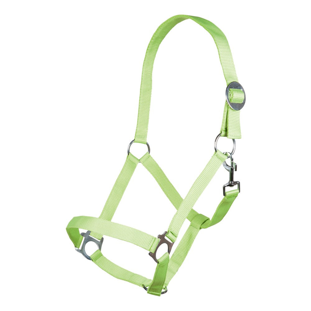 Licol Stars Economy Softice HKM poney Vert fluo