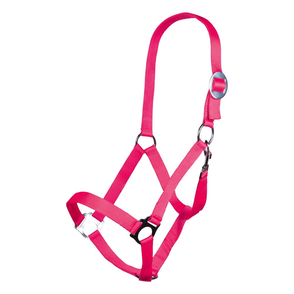 Licol Stars Economy Softice HKM poney Rose néon