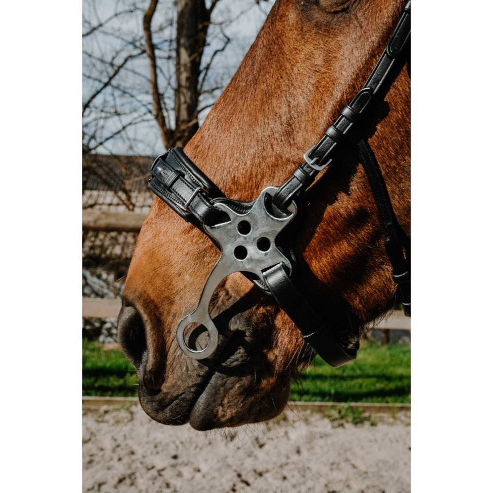Hackamore de compétition en inox Norton