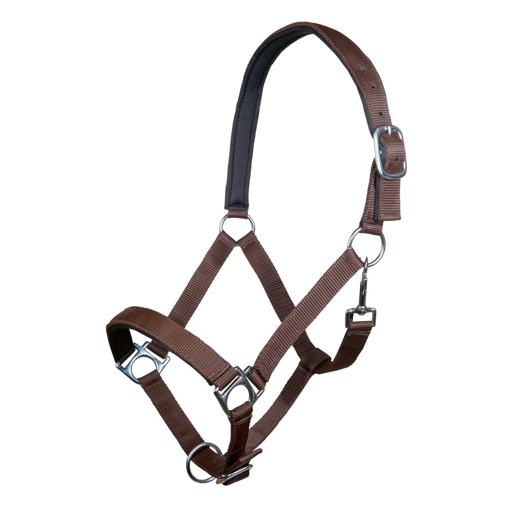 Licol Stars HKM poney Marron foncé