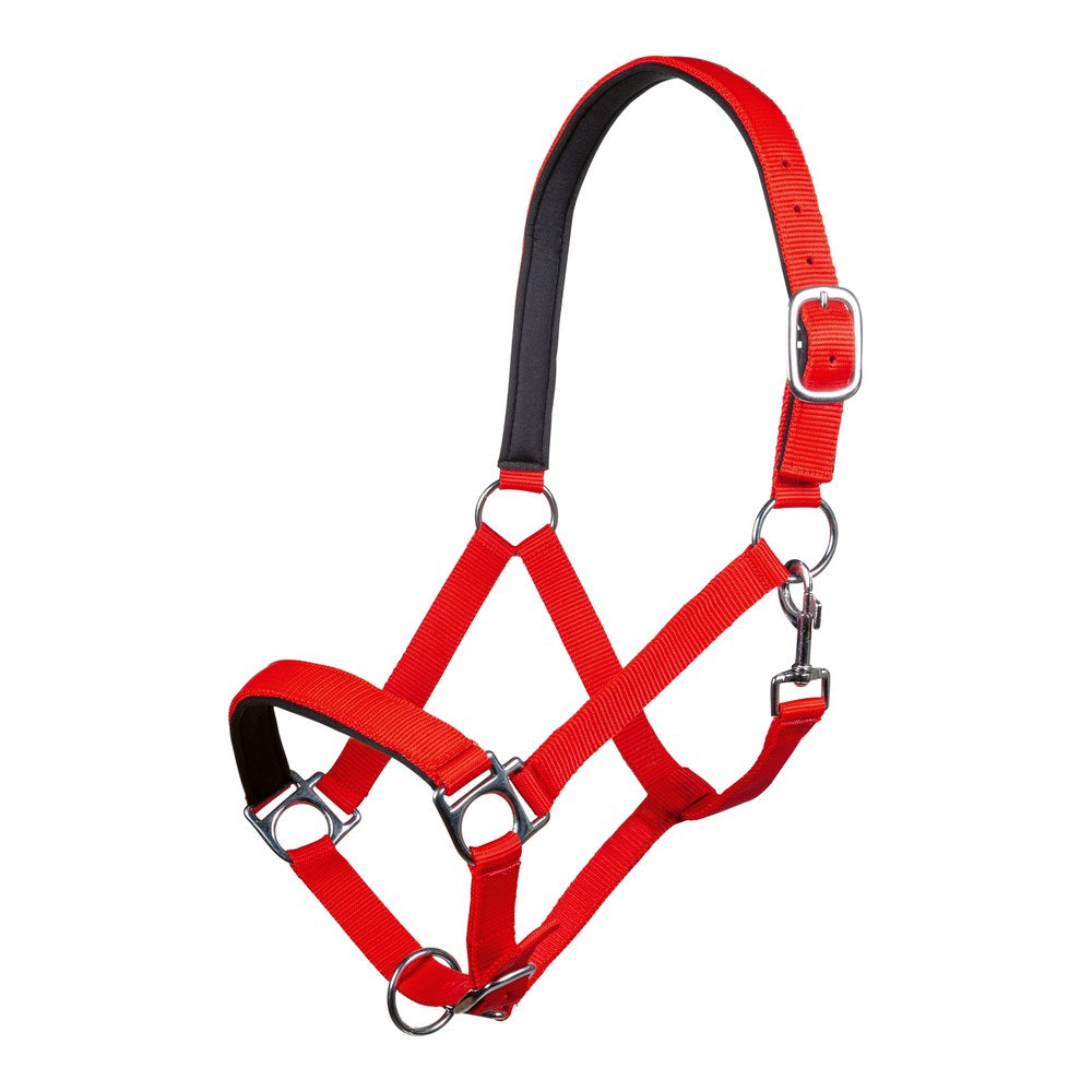 Licol Stars HKM poney Rouge