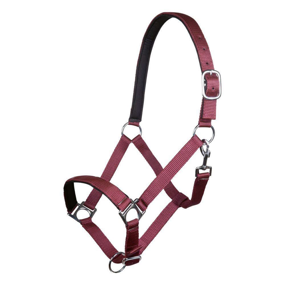 Licol Stars HKM poney Rouge foncé