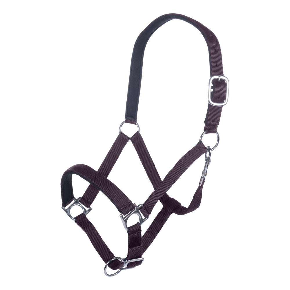 Licol Stars HKM poney Lilas foncé