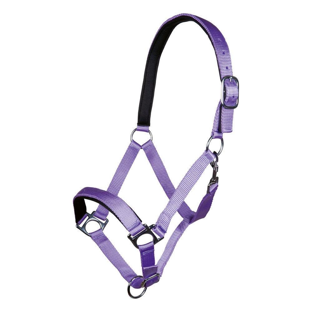 Licol Stars HKM poney Lilas