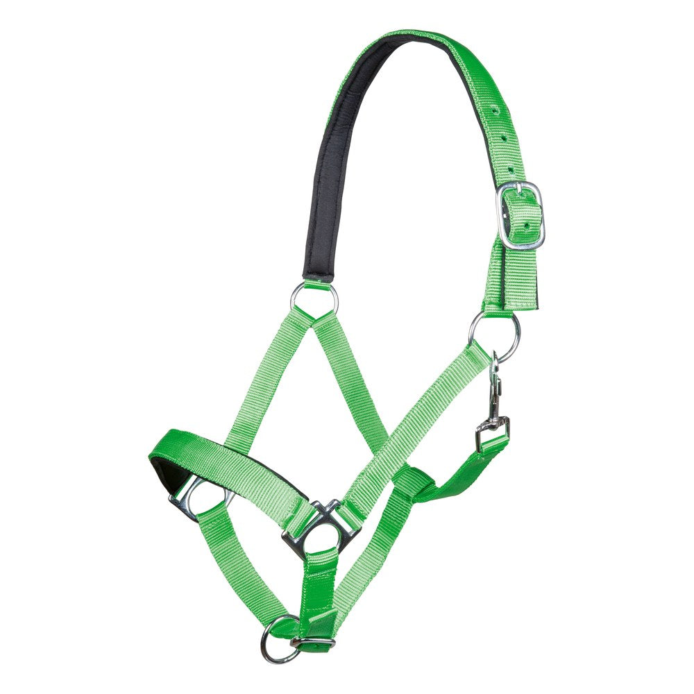 Licol Stars HKM poney Vert clair