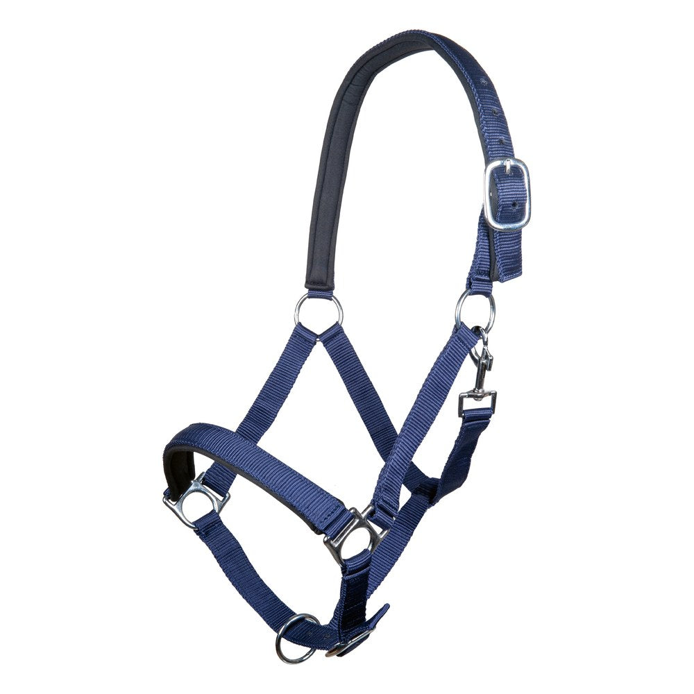 Licol Stars HKM poney Bleu foncé