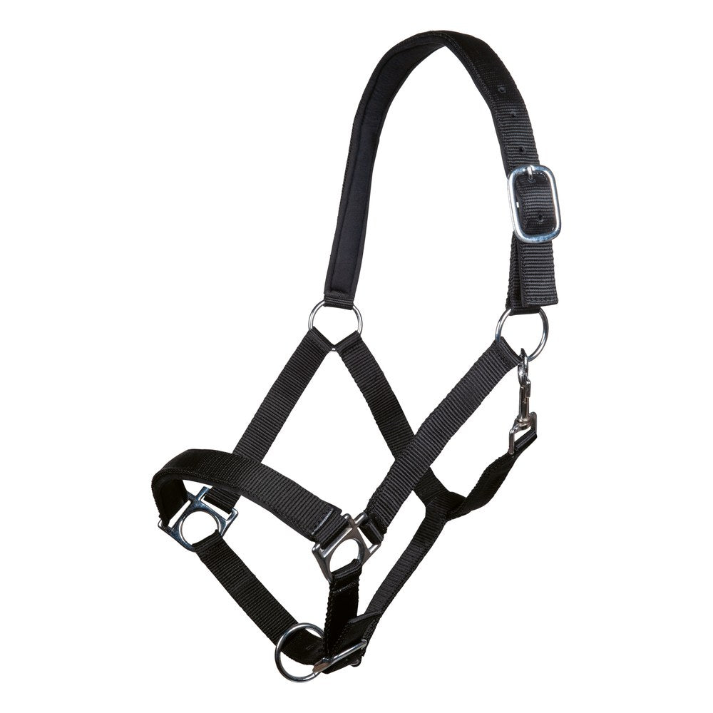 Licol Stars HKM poney Noir
