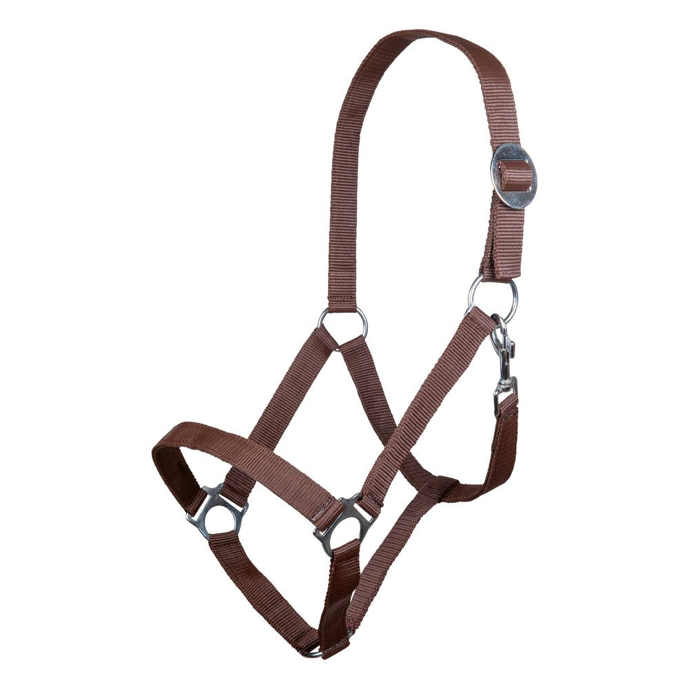 Licol Stars Economy HKM poney Marron foncé
