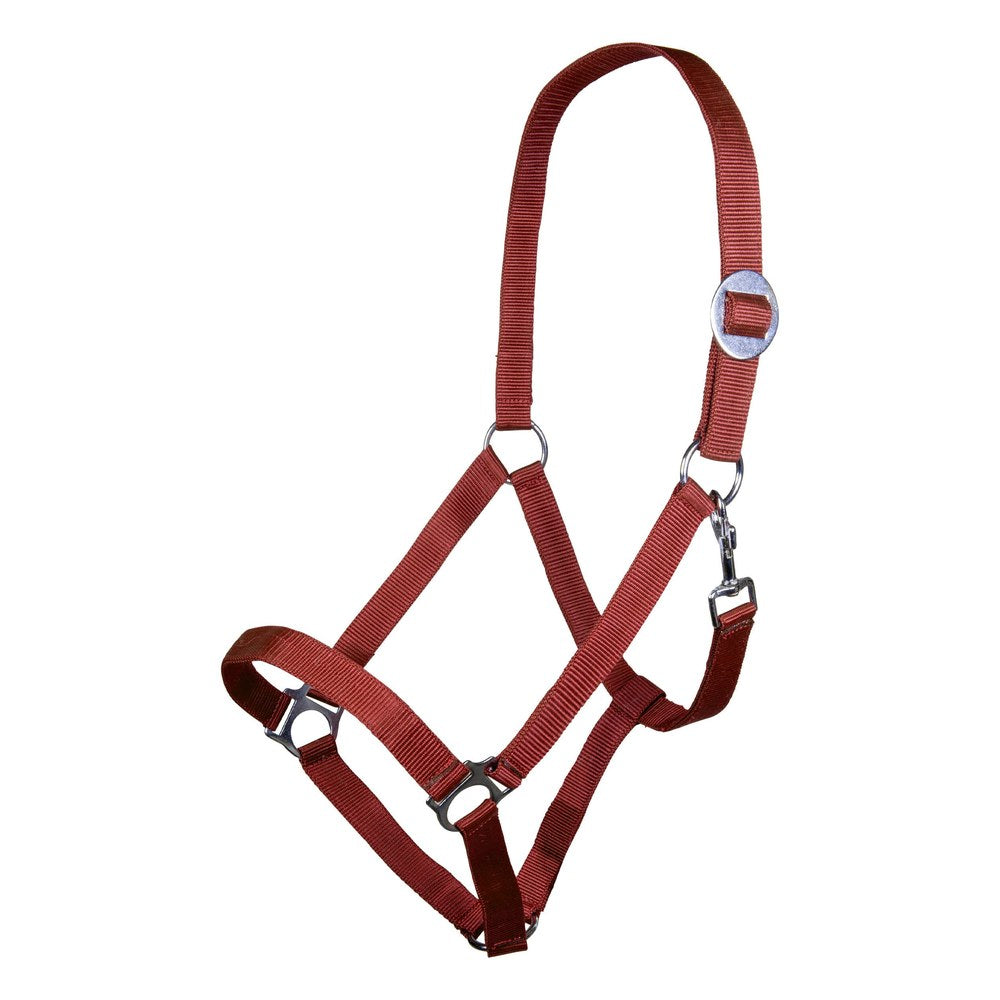 Licol Stars Economy HKM poney Rouge