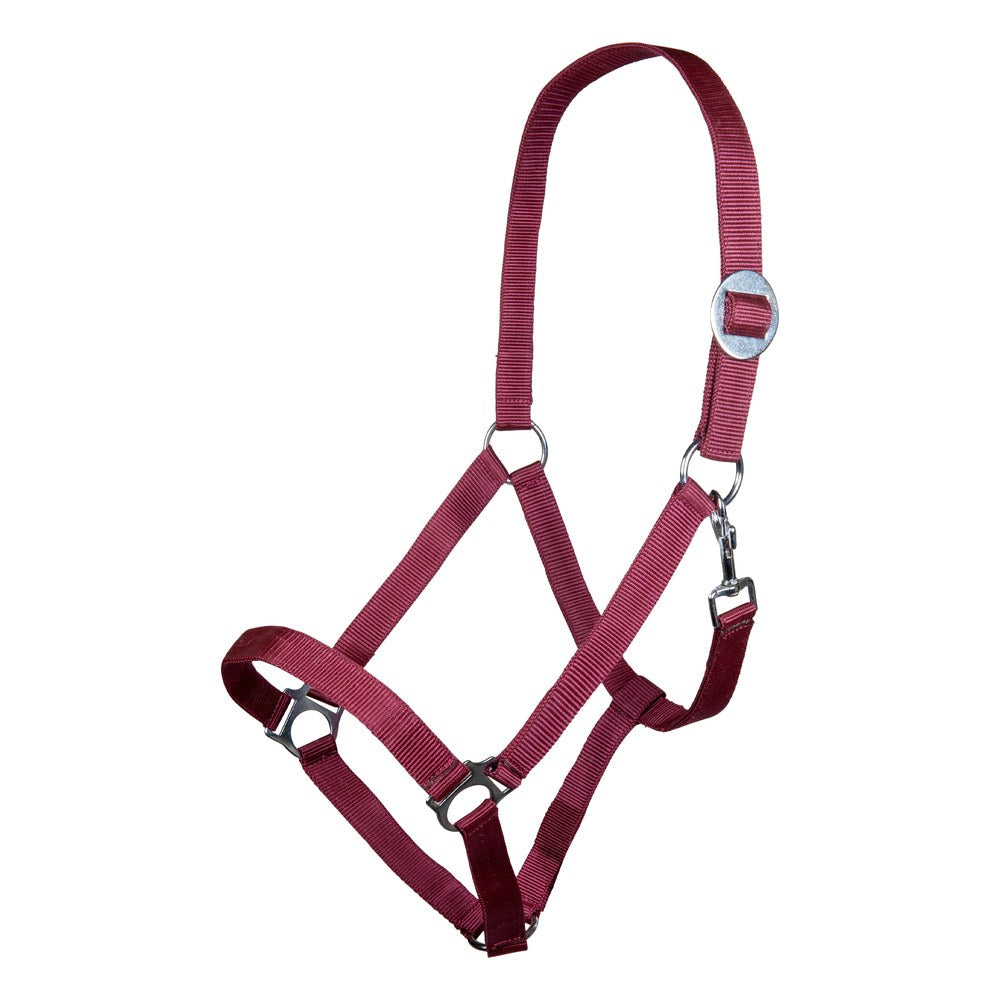 Licol Stars Economy HKM poney Rouge foncé