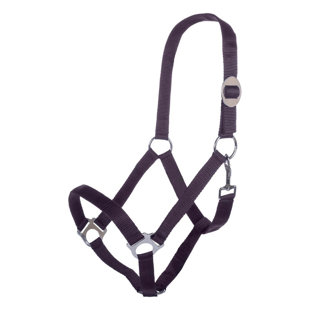 Licol Stars Economy HKM poney Lilas foncé