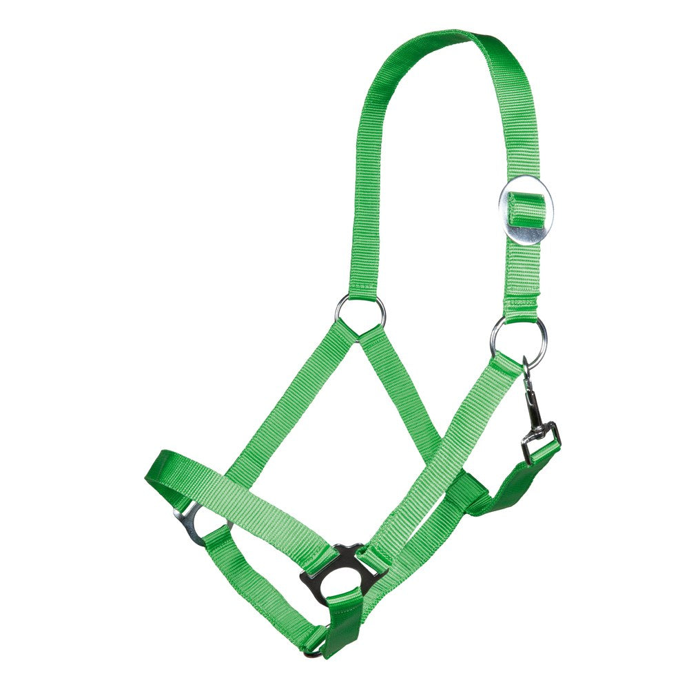 Licol Stars Economy HKM poney Vert clair