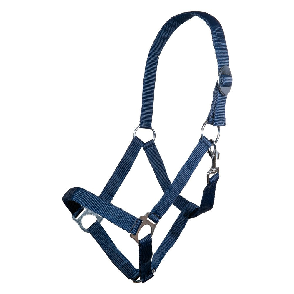 Licol Stars Economy HKM poney Bleu foncé