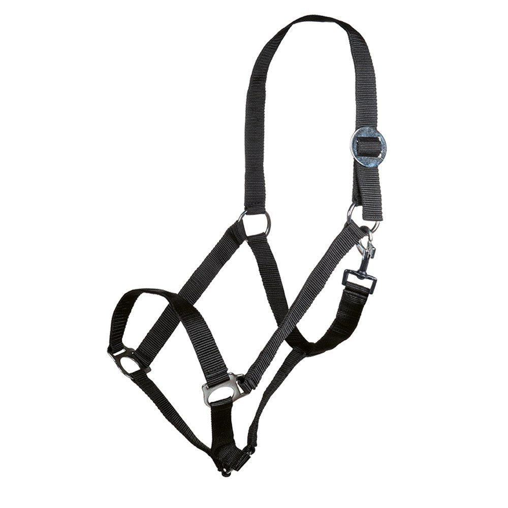 Licol Stars Economy HKM poney Noir