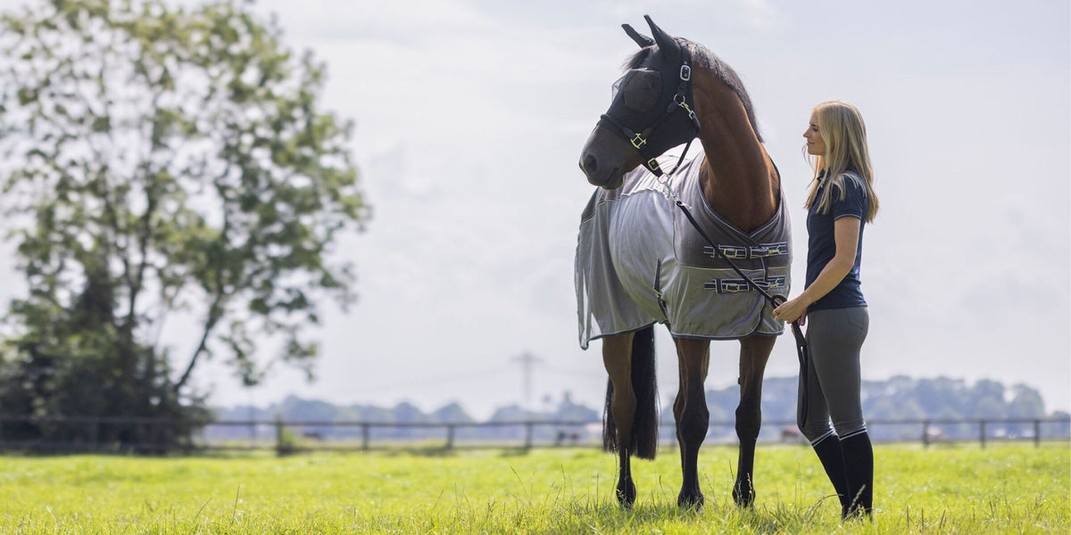 Equimaï : Sellerie en ligne et matériel d'équitation