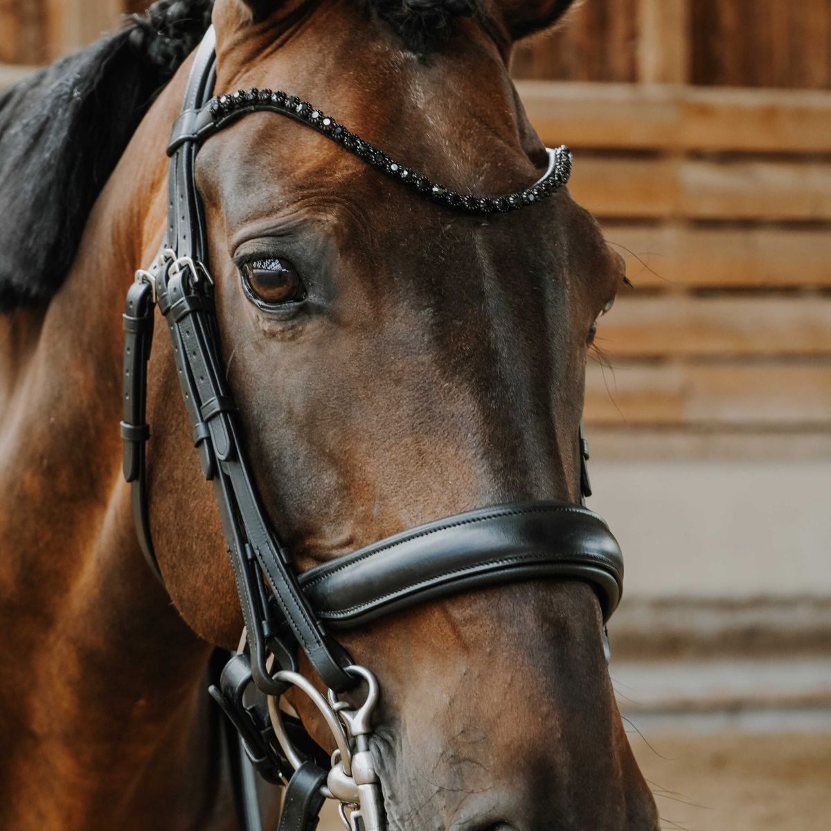 Bride-NORTON-Onyx-2