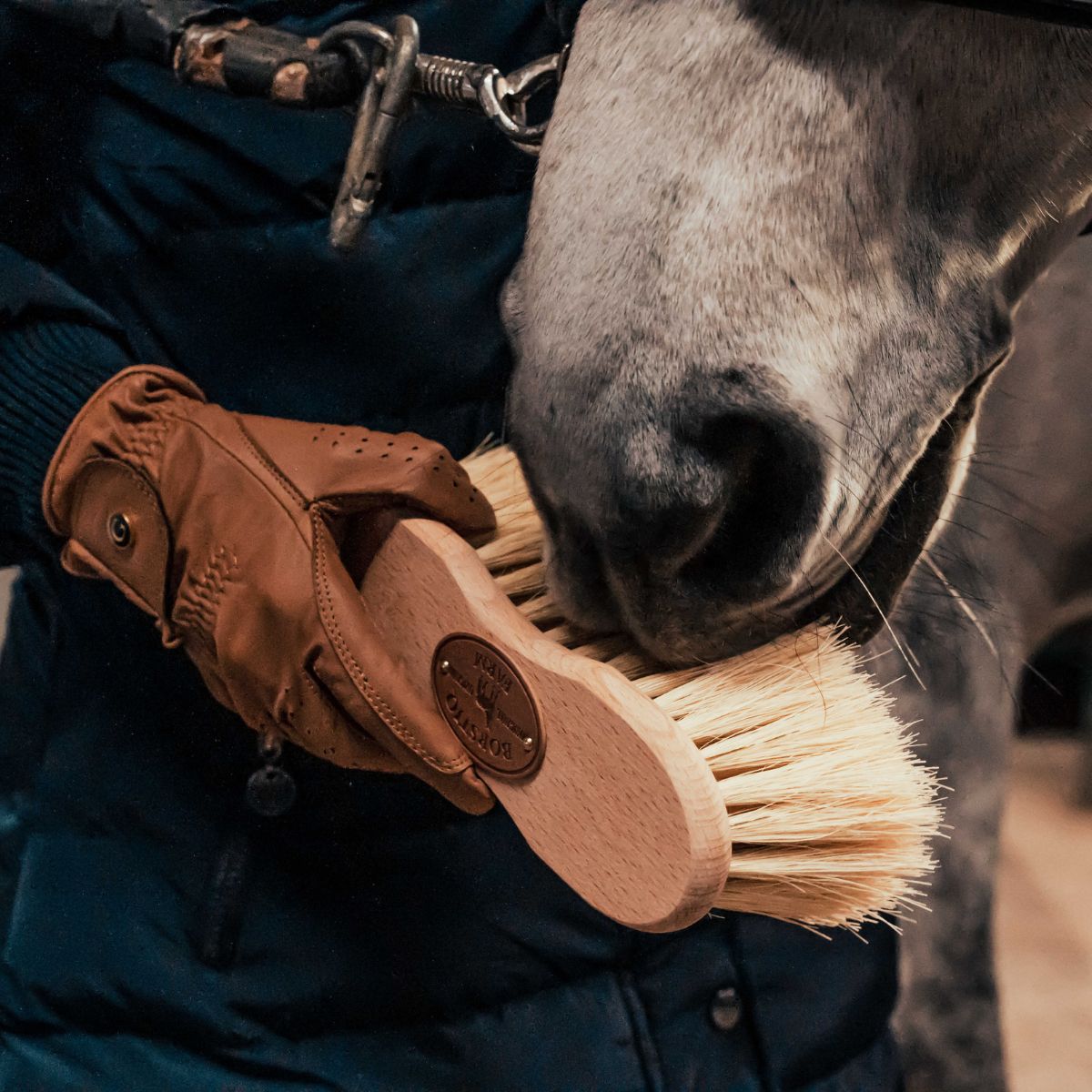 Brosse Infini BORSTIQ