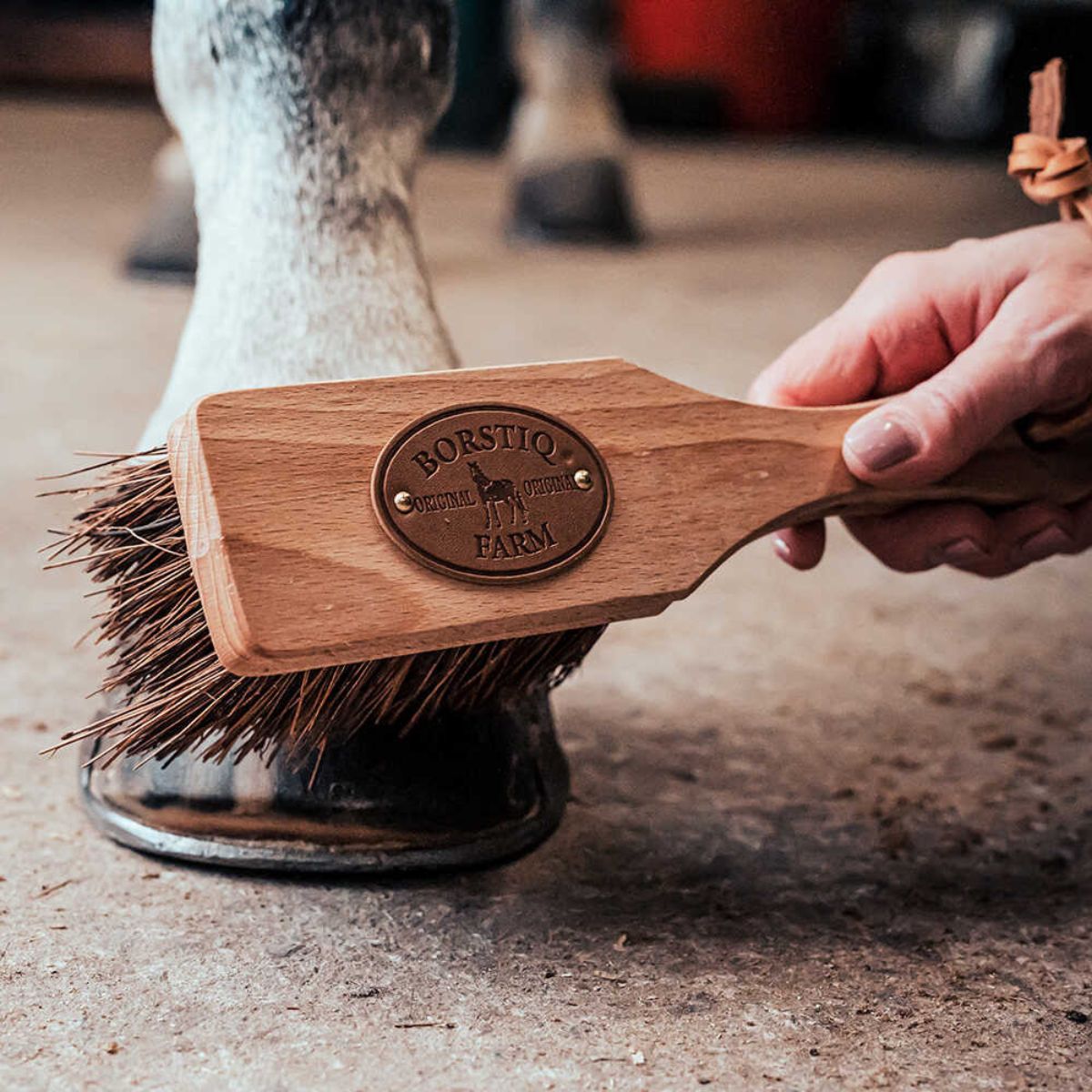 Brosse à sabot Islandaise BORSTIQ