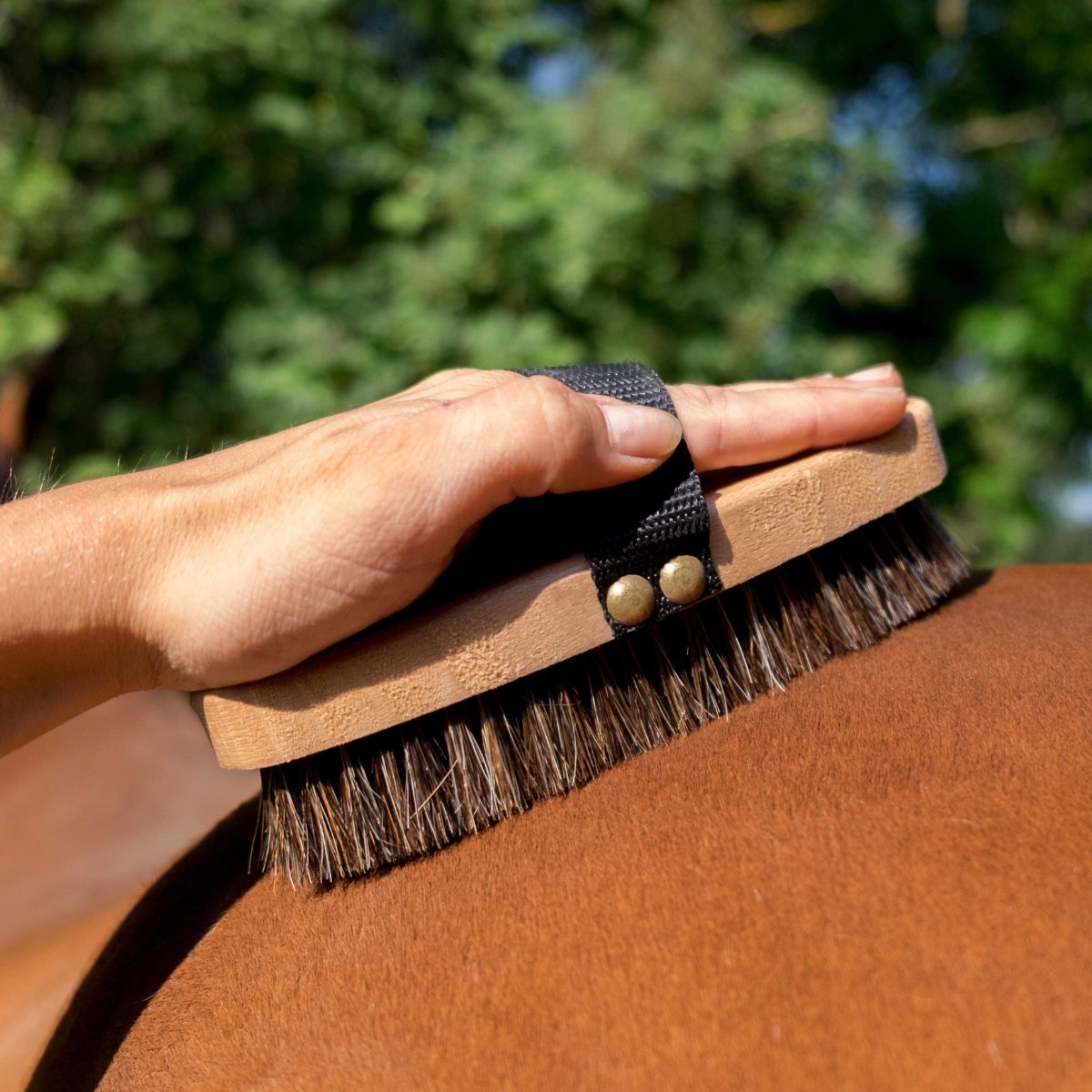 Brosse extra-douce HIPPOTONIC