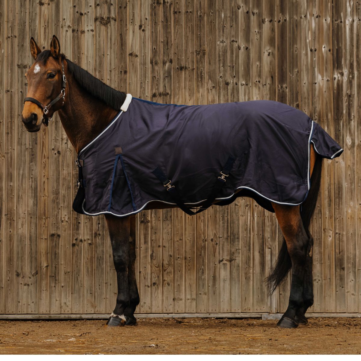 Chemise EQUITHÈME - Vague