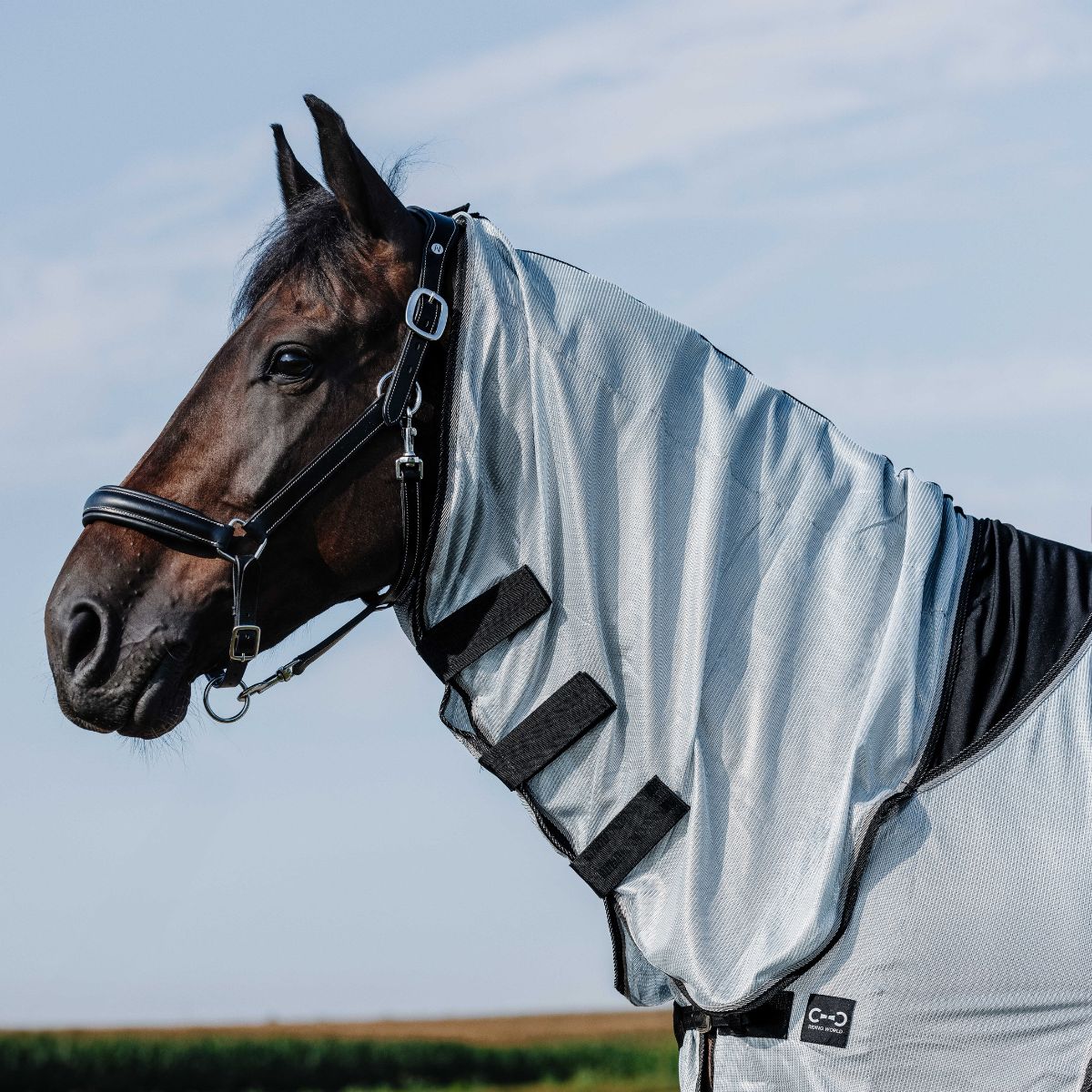 Chemise RIDING WORLD - Belly Mesh - Combo