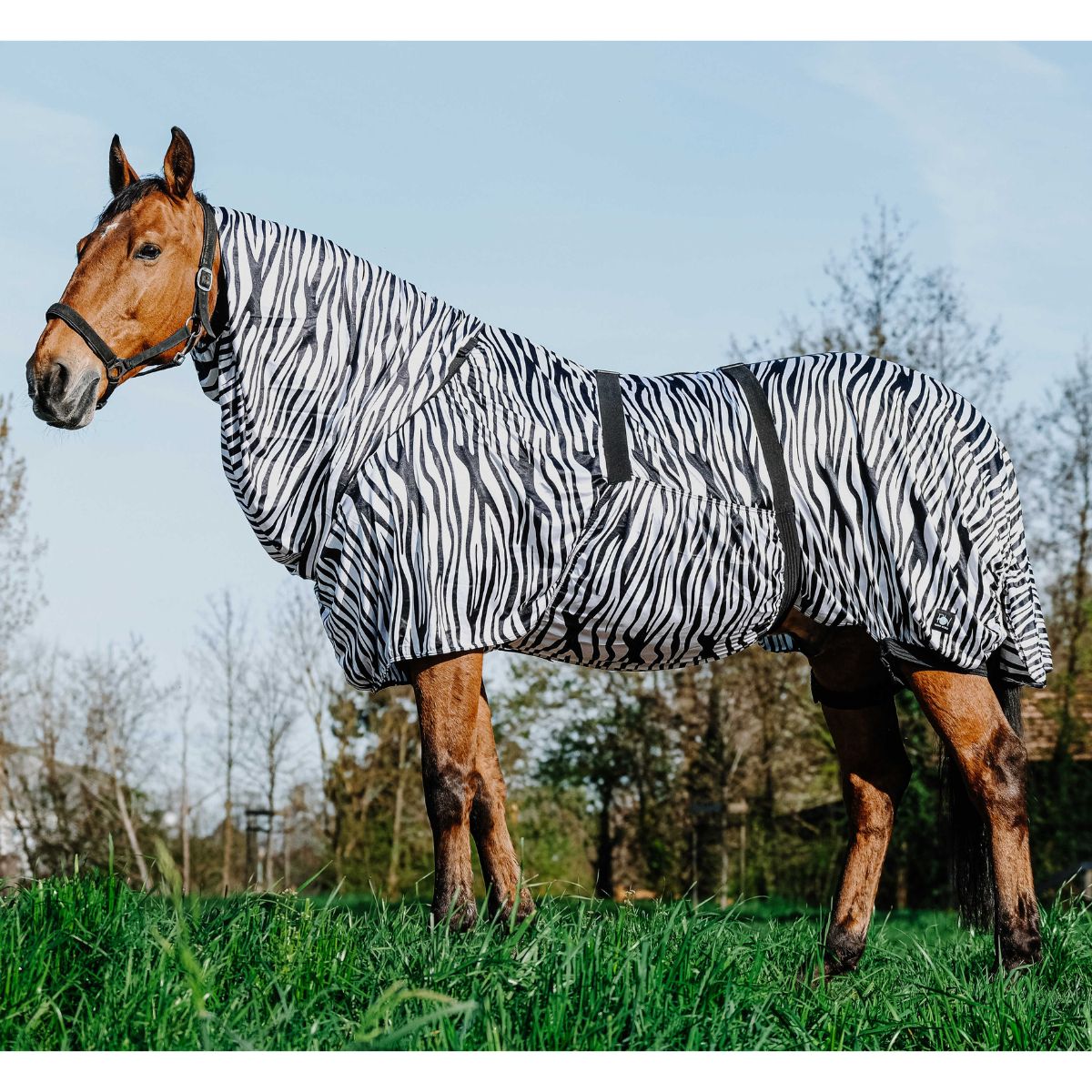 Chemise anti-eczéma RIDING WORLD - Zèbre