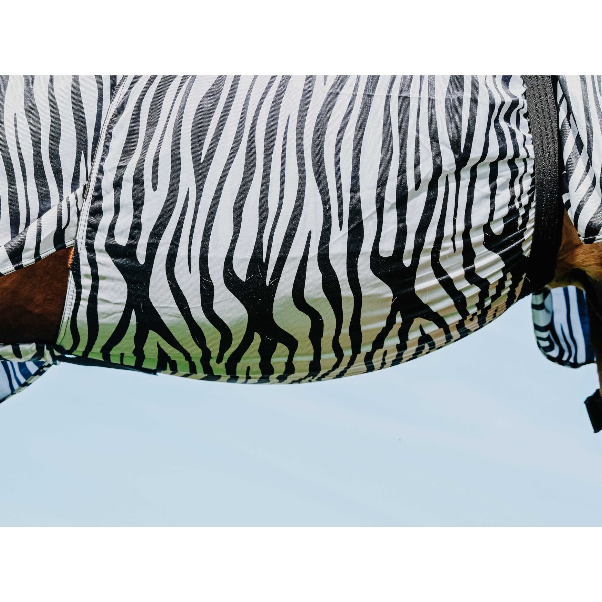 Chemise anti-eczéma RIDING WORLD - Zèbre