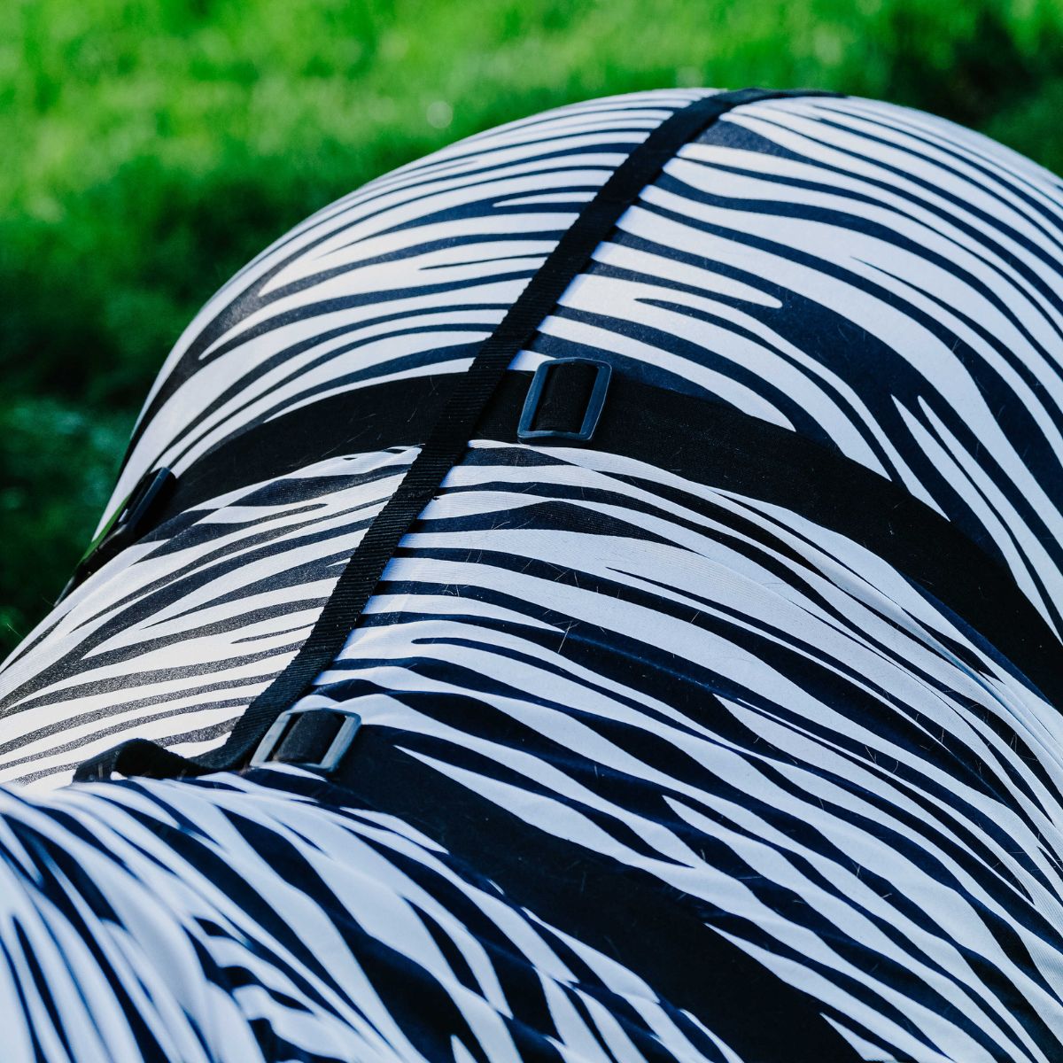 Chemise anti-eczéma RIDING WORLD - Zèbre