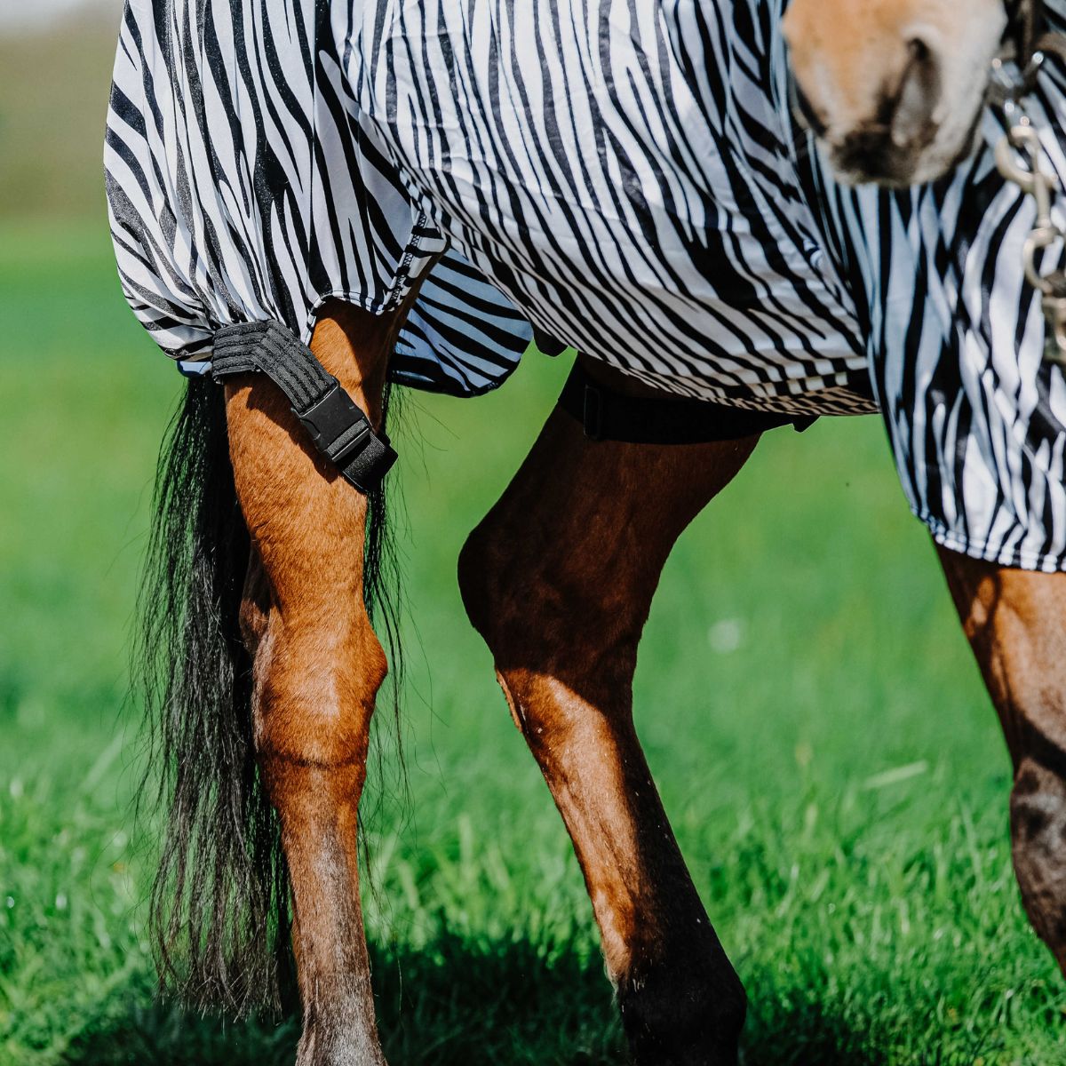 Chemise anti-eczéma RIDING WORLD - Zèbre