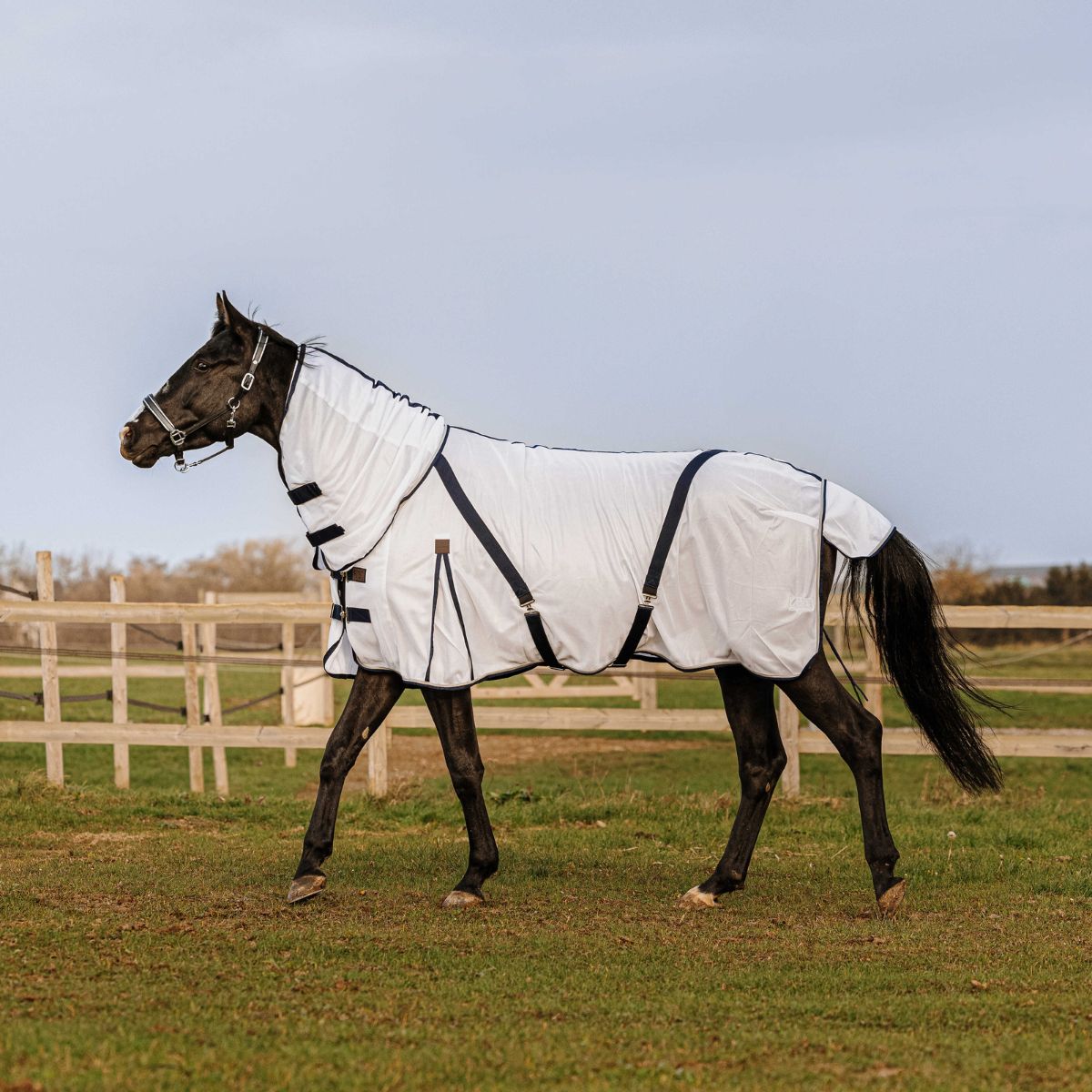 Chemise anti-mouche EQUITHÈME - Mesh combo
