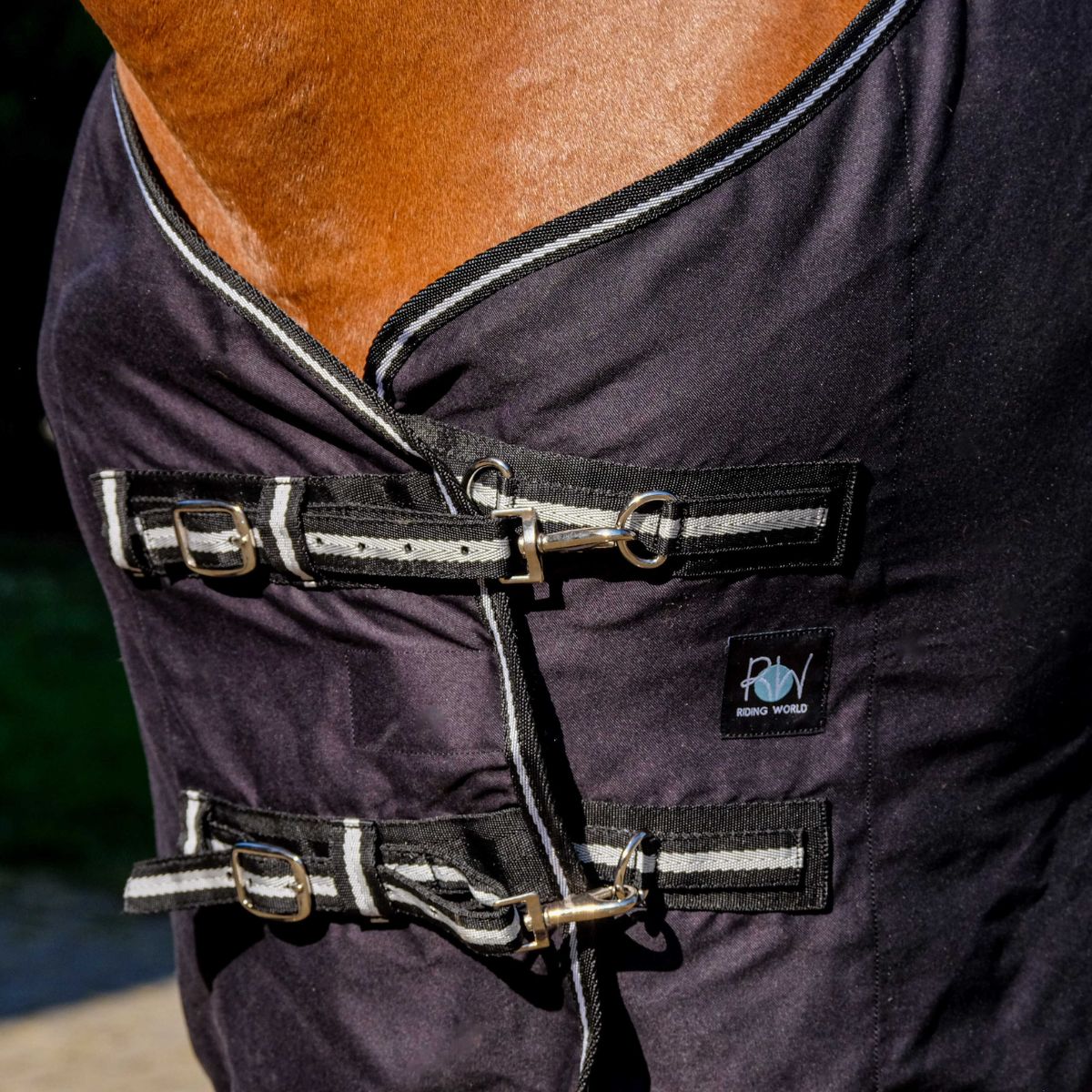 Chemise brillante RIDING WORLD