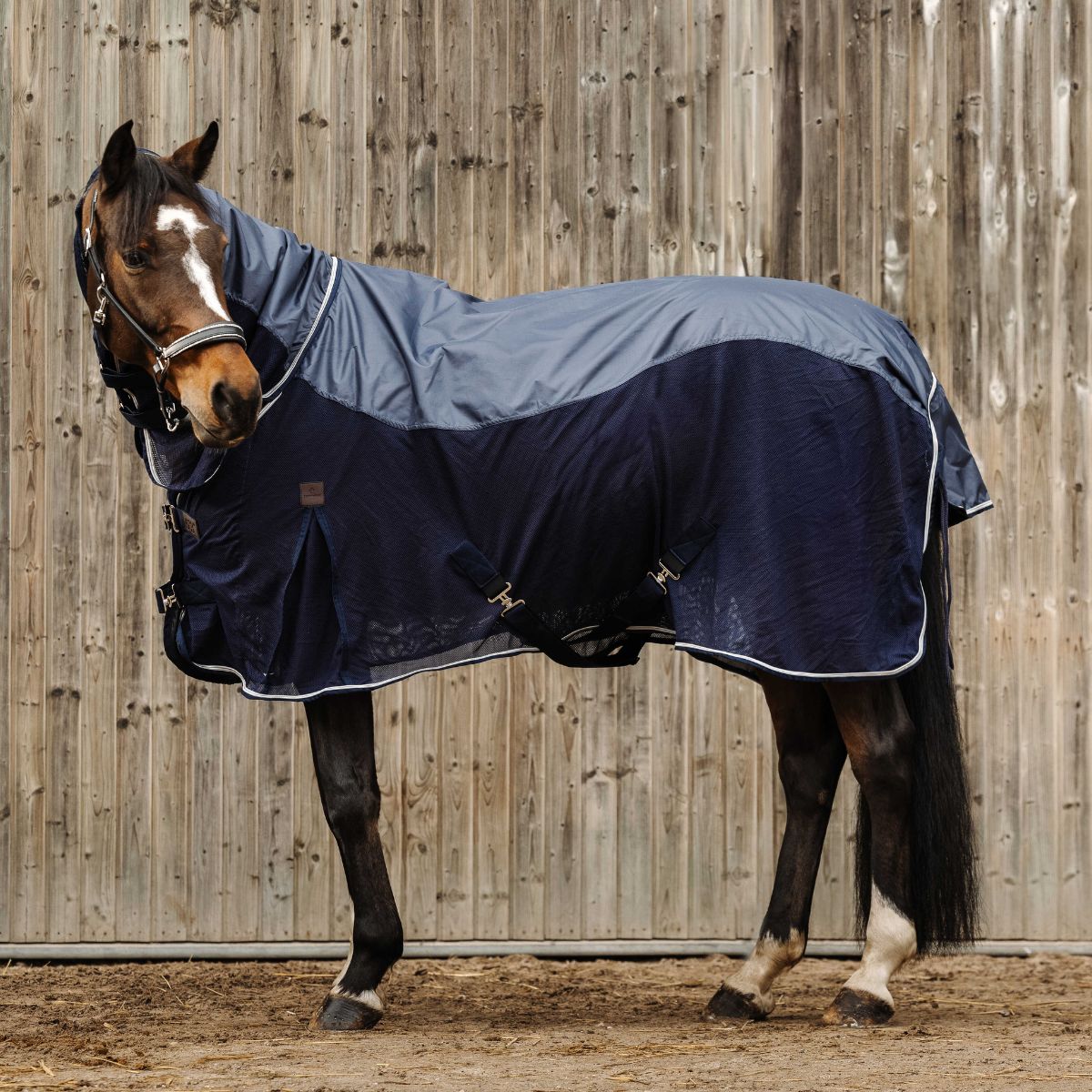 Chemise combo EQUITHÈME - Mixte