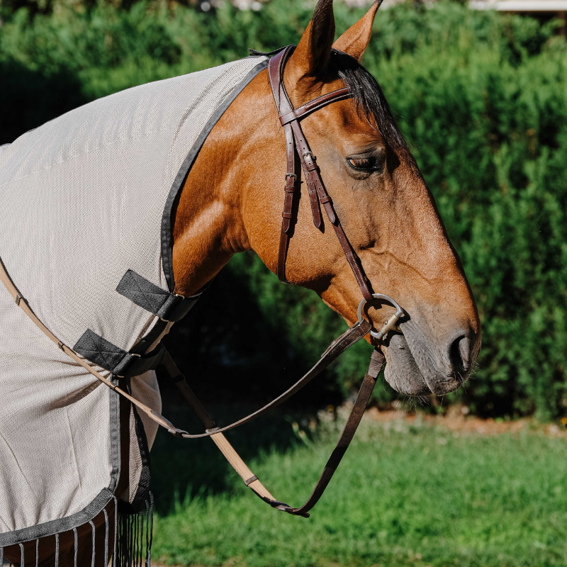 Chemise de travail RIDING WORLD anti-mouches