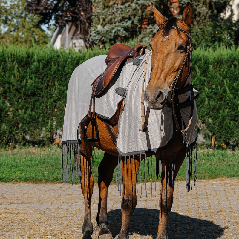 Chemise de travail RIDING WORLD anti-mouches