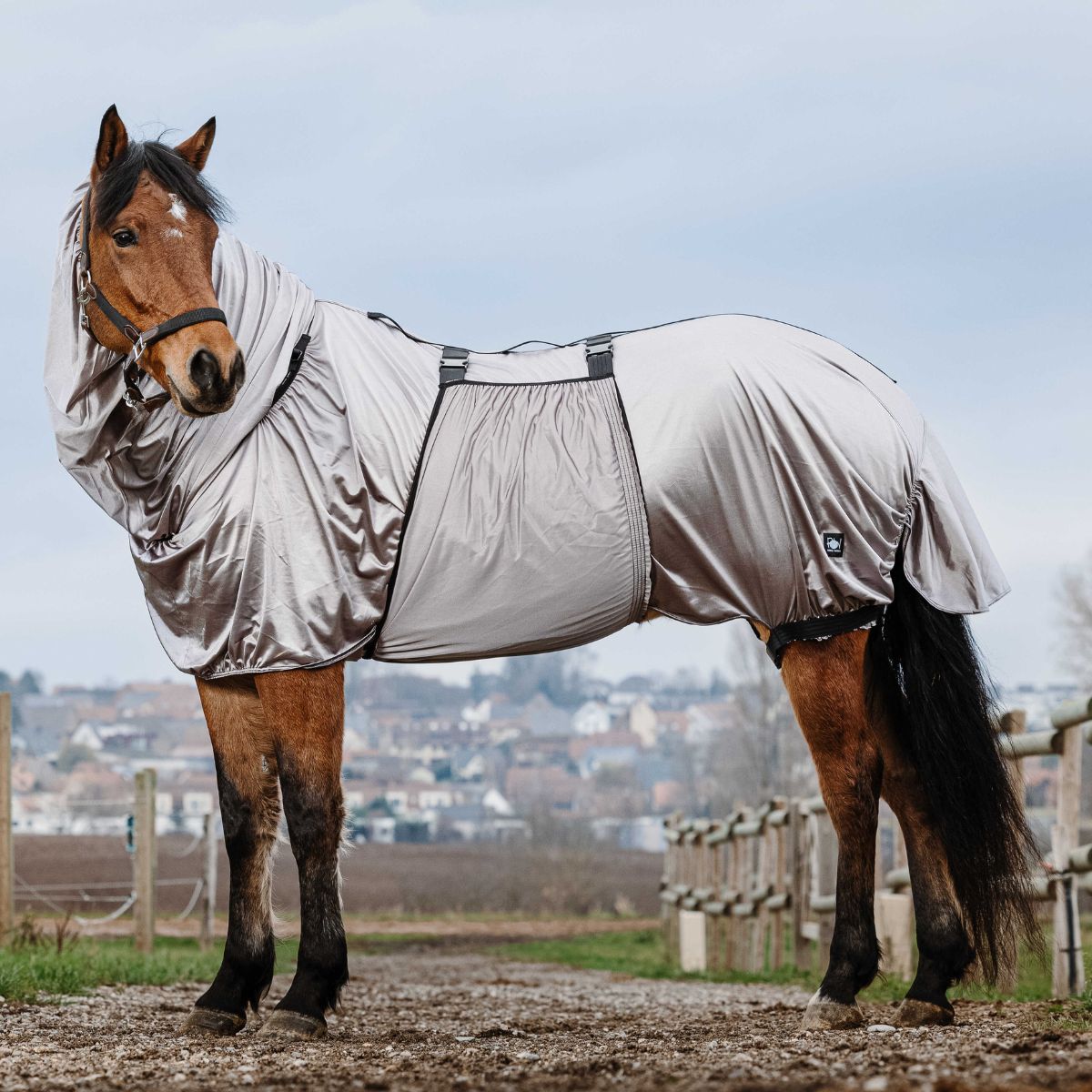 Chemise anti-eczéma RIDING WORLD - Gris