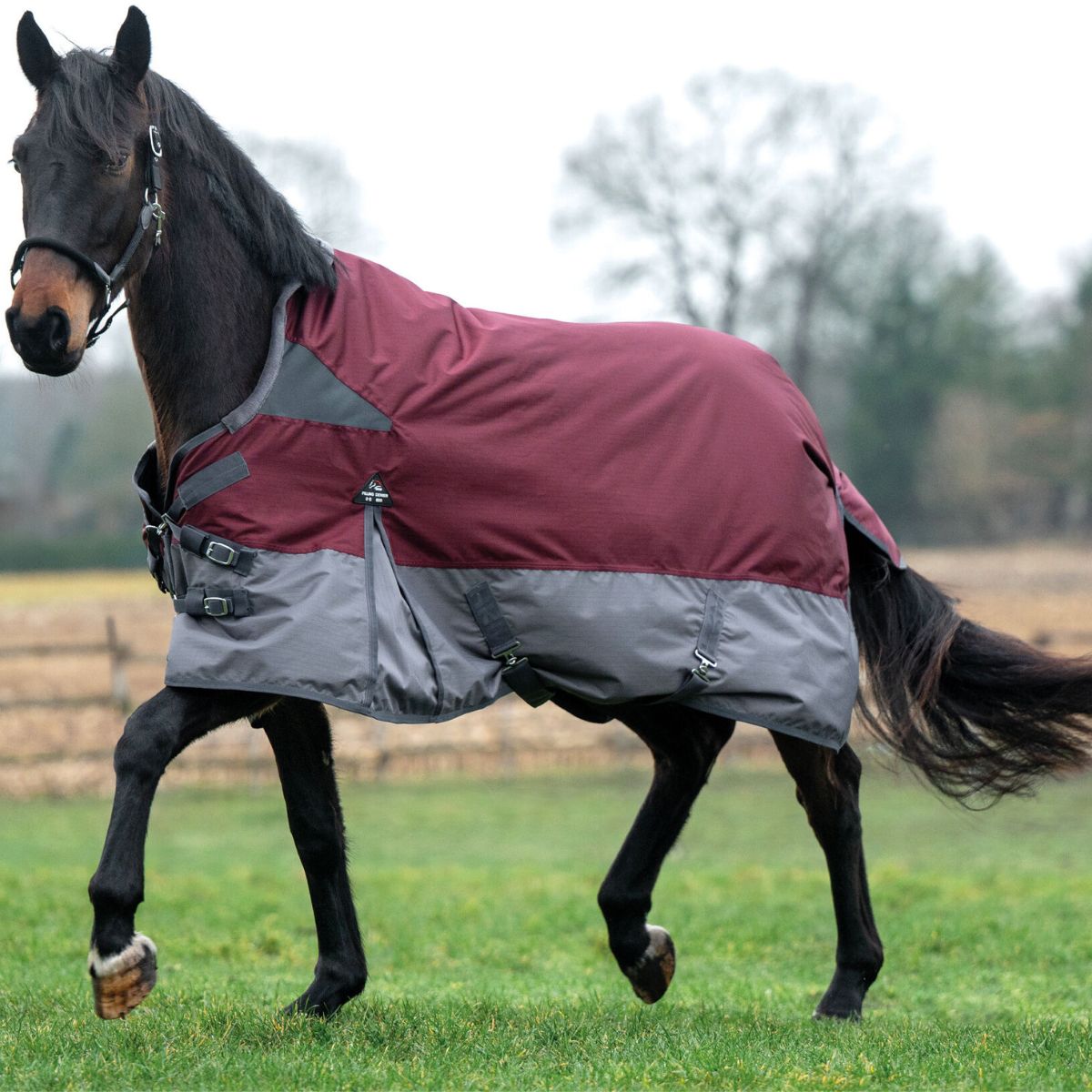 Couverture-highneck-300g-Yukon-600D-1