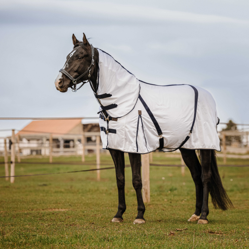 Couvre-cou EQUITHÈME - Mesh
