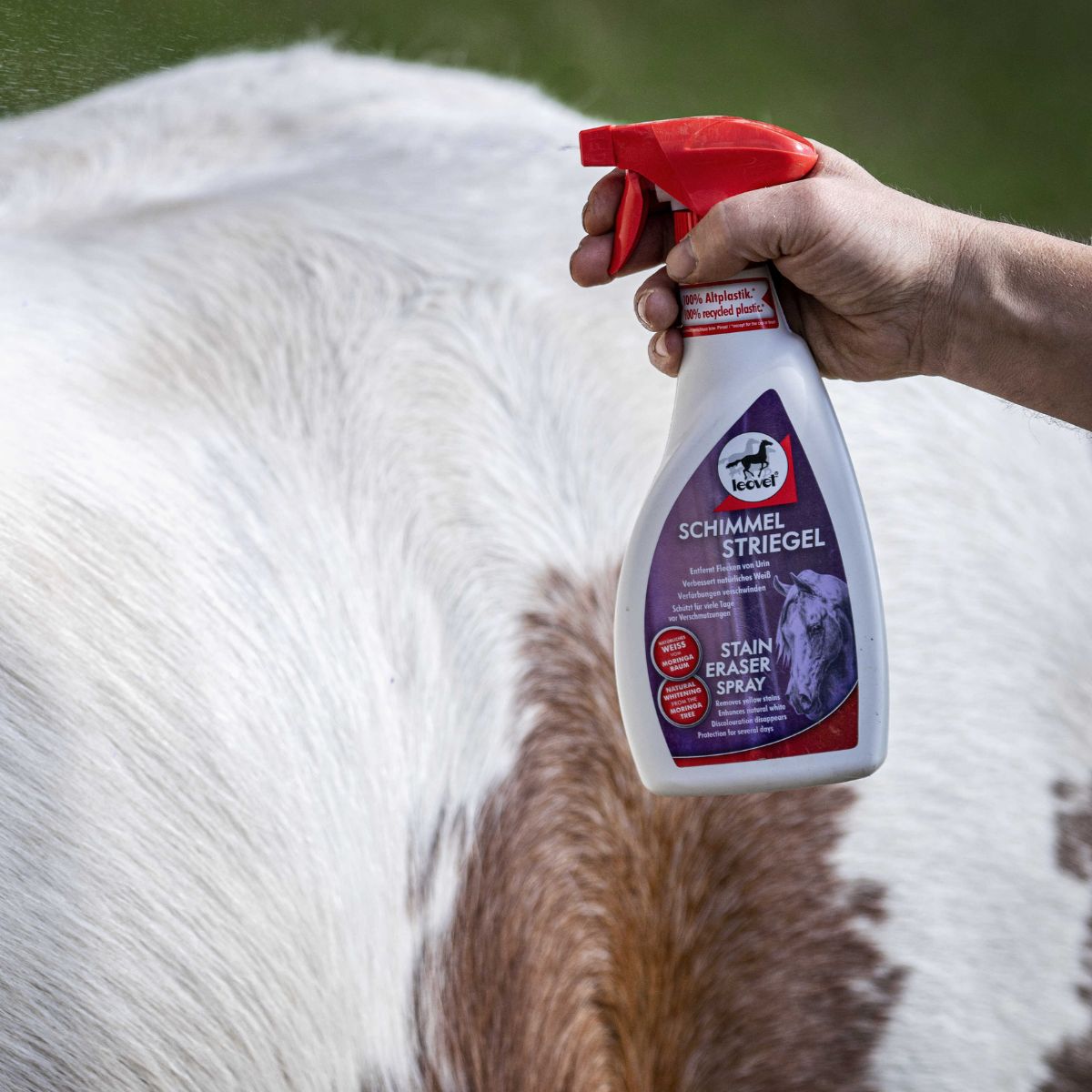 Demelant-LEOVET-Chevaux-gris-spray-2