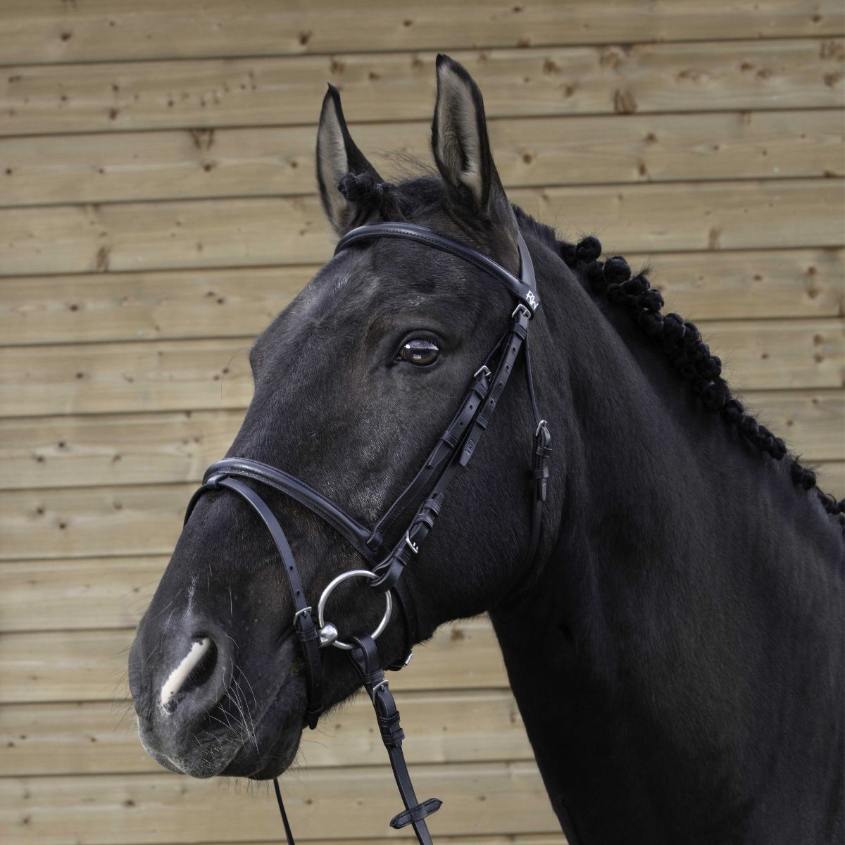 Filet RIDING WORLD - Muserolle combinée