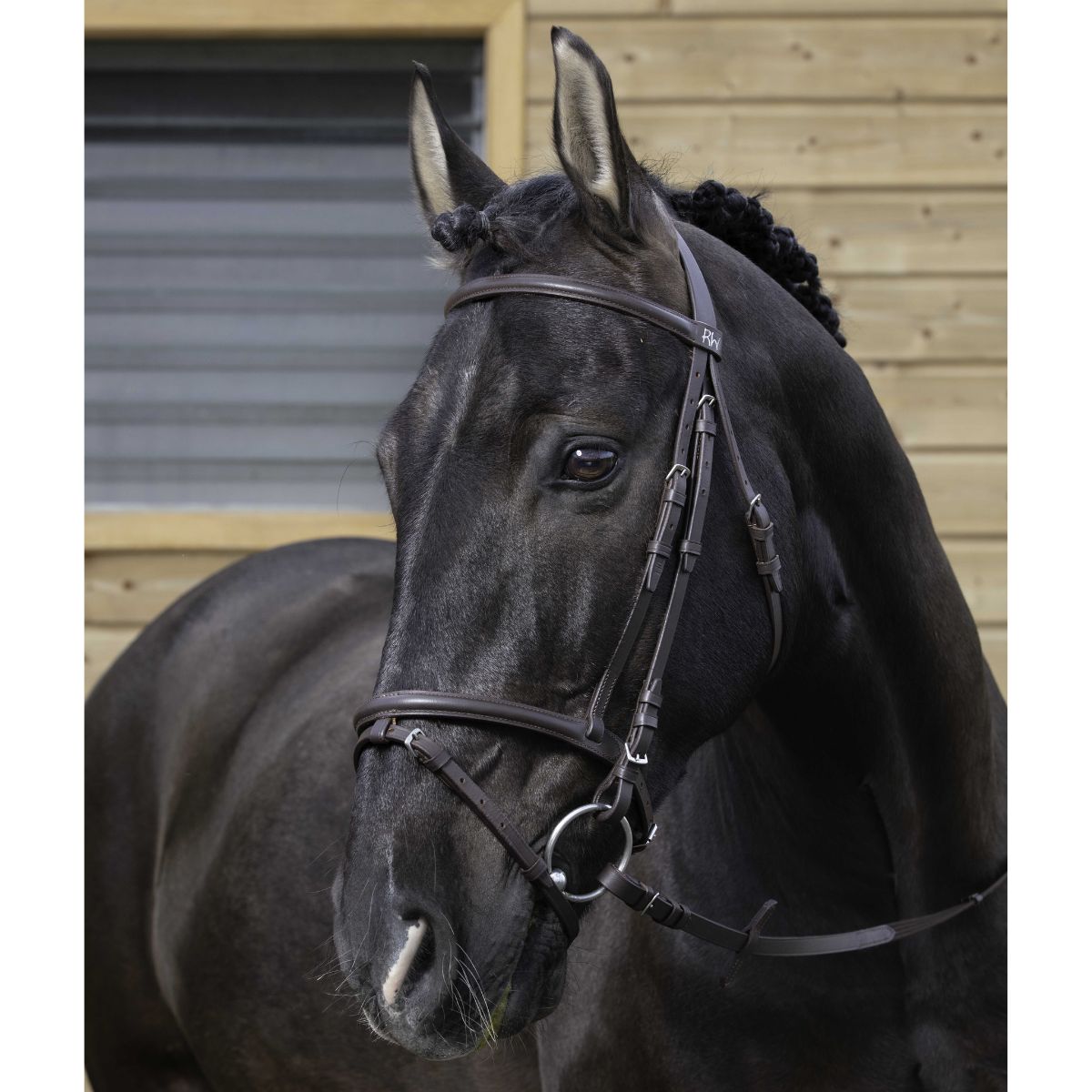 Filet RIDING WORLD - Muserolle combinée