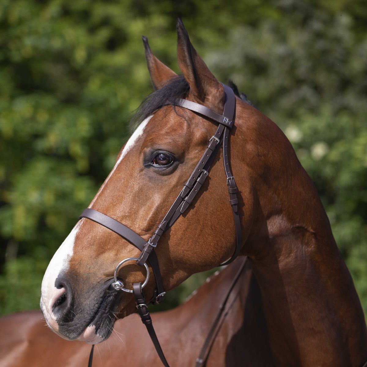 Filet RIDING WORLD - Muserolle française