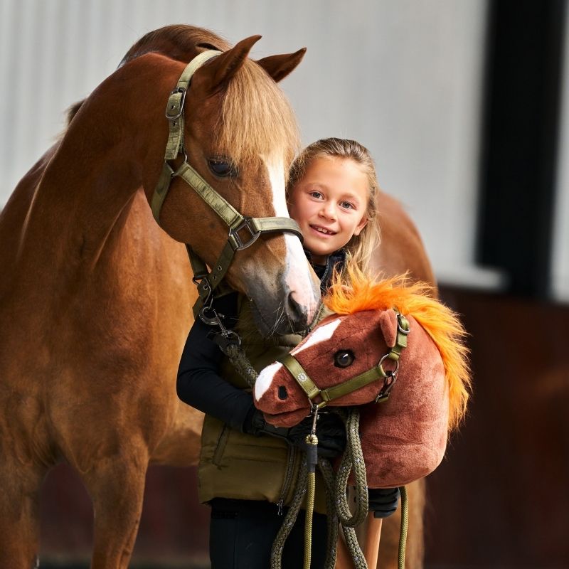 Hobby horse Alezan - Sofy