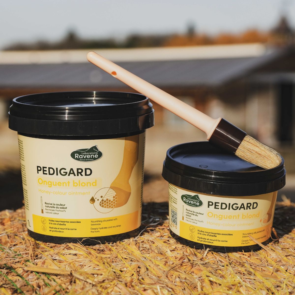 Pedigard-RAVENE-Onguent-blond-2_020cc736-7c95-4f86-84c0-fb85021eeb63