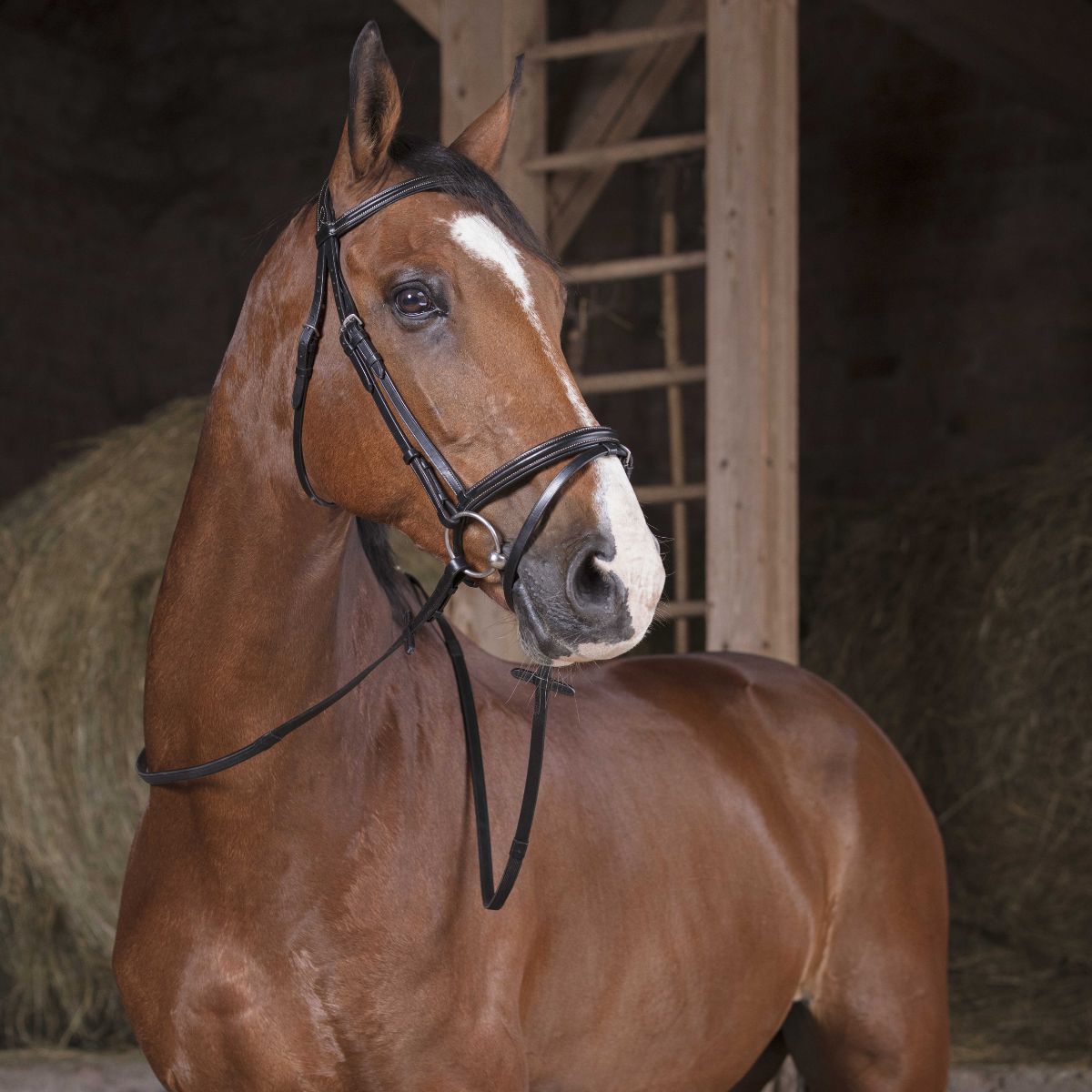 Renes-Hunter-NORTON-16-mm-3